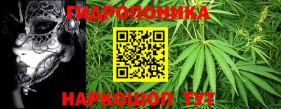 кокс Моздок